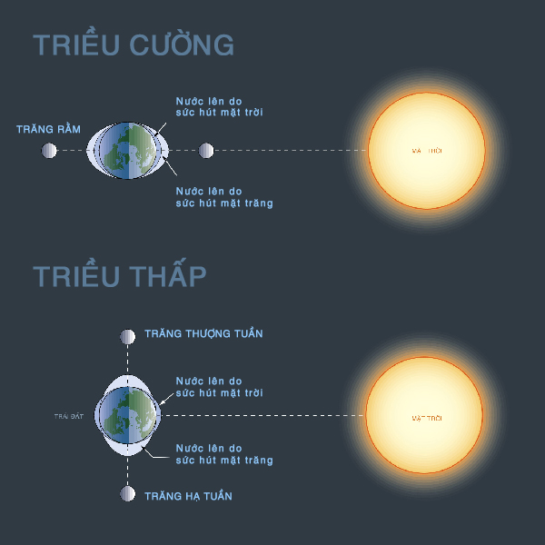 Triều cường