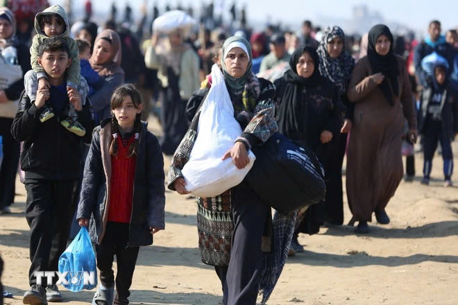 Dải Gaza ảnh 1 Dai Gaza anh 1